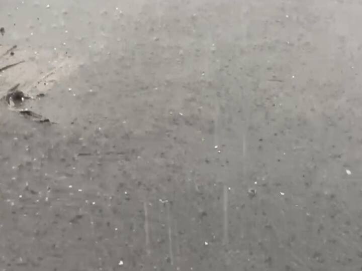 जिल्ह्यातील वेगवेगळ्या भागात आज मुसळधार पावसाने हजेरी लावली आहे.