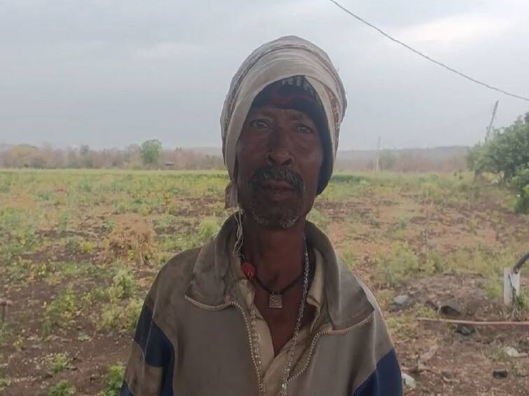 Maharashtra Rain Unseasonal rain in various places in the state Rabi crops hit  Maharashtra Rain : राज्यात बहुतांश ठिकाणी अवकाळी पाऊस; रब्बी पिकांना मोठा फटका, बळीराजा चिंतेत