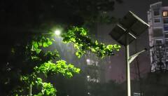 Rain : राज्यात अवकाळी पाऊस, रब्बी पिकांना फटका