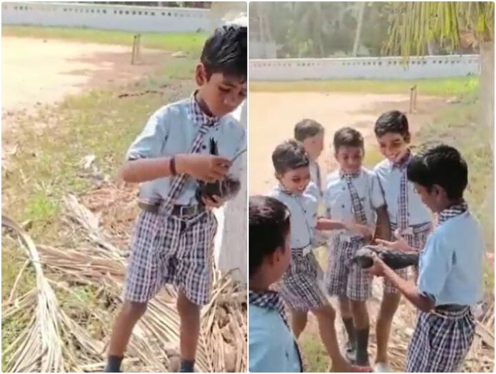 child is seen rescuing and then freeing a crow trapped in a trap Video: जाल में फंसे कौवे को बचाते नजर आया छोटा सा बच्चा, वीडियो ने सिखाया इंसानियत का पाठ