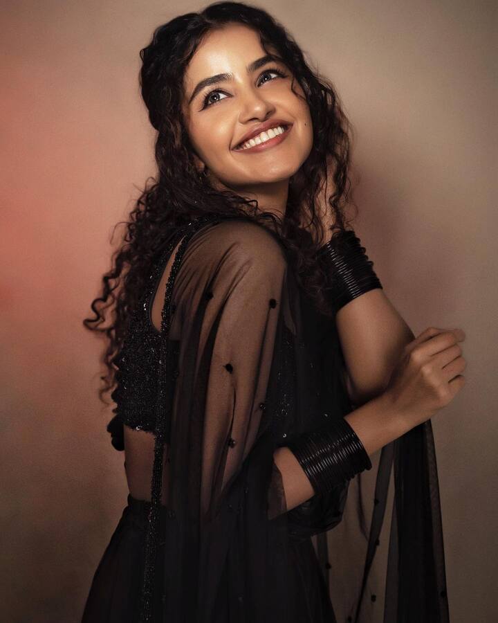 అనుపమా పరమేశ్వరన్ -Image Credit: Anupama Parameswaran/Instagram
