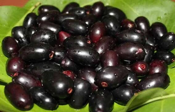 Super Food: Include this anti-aging food in the diet to enhance the beauty of the skin, know where this superfood is