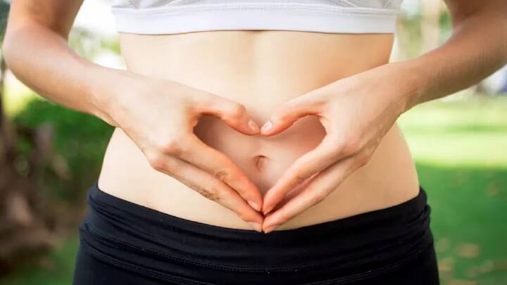 Summer Health: ગરમીમાં પાચનતંત્રને દુરસ્ત રાખવા માટે ડાયટમાં આ ફુડને કરો સામેલ, કૂલ રહેશે ડાયજેસ્ટ સિસ્ટમ
