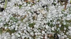 Latur Hail Storm : लातुरात गारपिटीचा परिणाम, काळे शिवार झाले पांढरे!
