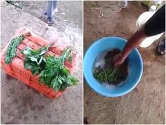 सब्जी नहीं मौत का सामान... केमिकल की मदद से बासी साग को कर दिया ताजा, सेहत से हो रहा खिलवाड़