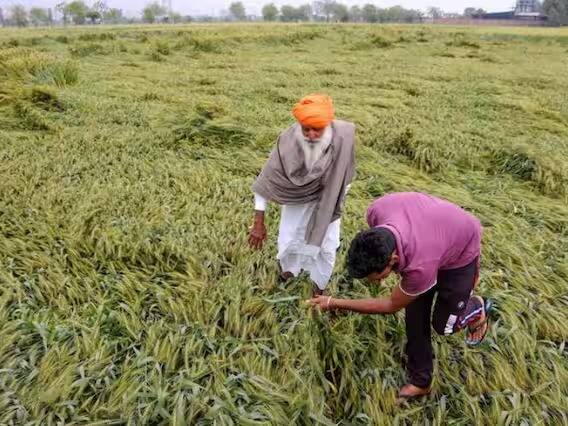 Weather Update: पंजाब समेत देश के इन राज्यों में भारी बारिश, ओलावृष्टि ने हालात बेहाल किए, देखें तस्वीरें Weather Update: पंजाब समेत देश के इन राज्यों में भारी बारिश, ओलावृष्टि ने हालात बेहाल किए, देखें तस्वीरें