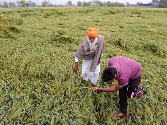 Weather Update: पंजाब समेत देश के इन राज्यों में भारी बारिश, ओलावृष्टि ने हालात बेहाल किए, देखें तस्वीरें