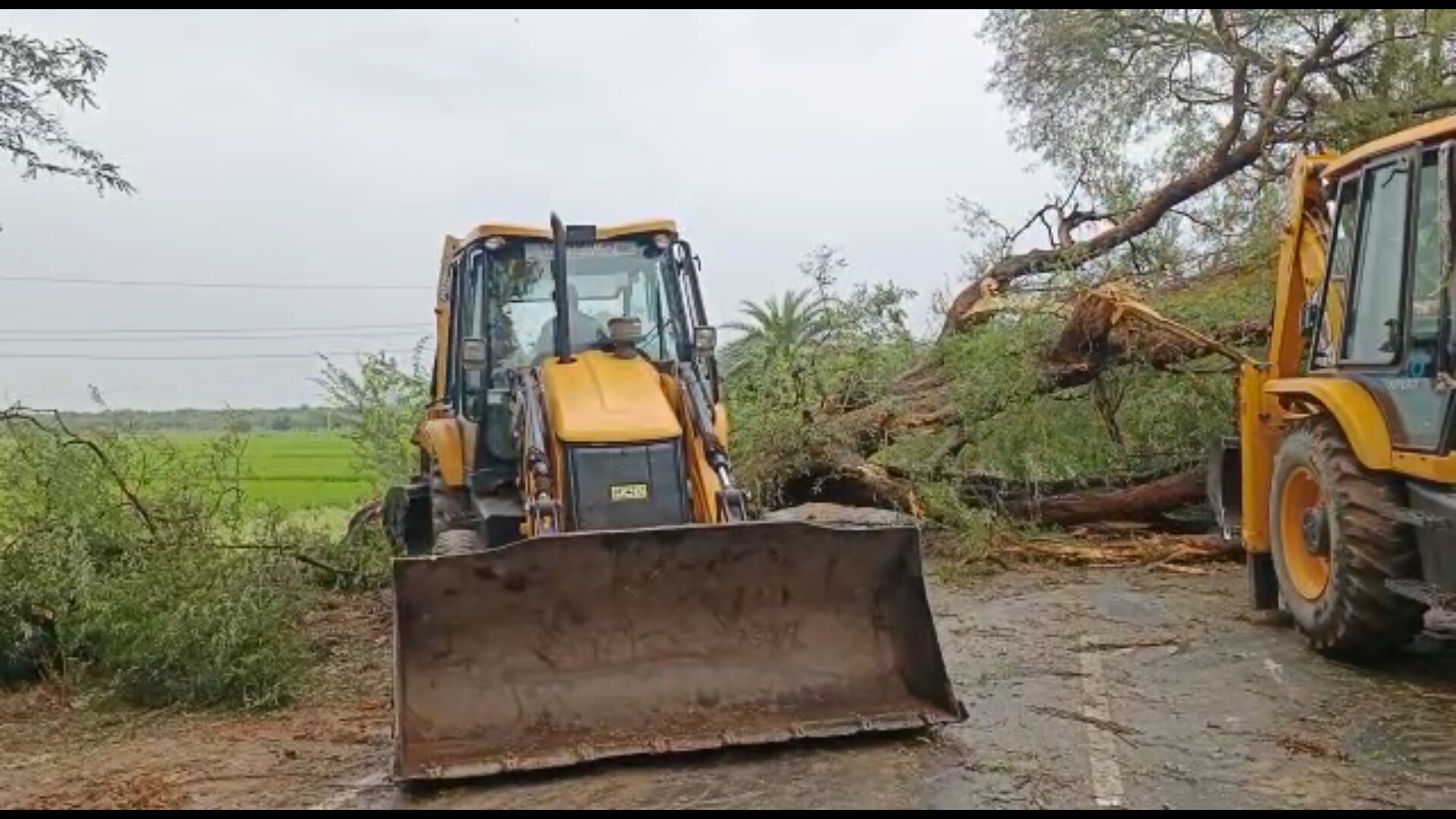 AP Rains : ఏపీలో మరో రెండ్రోజుల పాటు భారీ వర్షాలు, విశాఖ మ్యాచ్ కు వరుణుడి గండం!