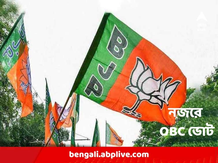 OBC vote in focus, BJP's OBC front plans to reach 5,000 homes in Bengal in 9 days BJP: নজরে ওবিসি ভোট, ৯ দিনে বাংলার ৫ হাজার বাড়িতে পৌঁছোনোর পরিকল্পনা বিজেপির ওবিসি মোর্চা