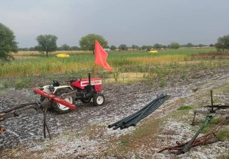 maharashtra news nashik news Hailstorm with unseasonal rain in the district including Nashik crop damaged Nashik Unseasonal Rain : नाशिकसह जिल्ह्यात चौथ्या दिवशी अवकाळीसह गारपीट, शेतीपिकांत गारांचा खच 