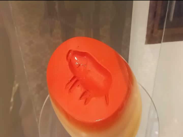 பன்றி சின்னம் பொறிக்கப்பட்ட சூது பவளம் மாதிரி.