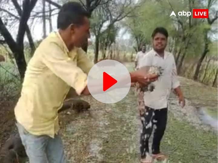 MP Weather Update rain in Bhopal Vidisha Ujjain and Sehore 3 died due to lightning IMD ann MP Weather Today: मध्य प्रदेश में बेमौसम बारिश का दौर, कई जगह आंधी और ओले गिरने से फसलों को नुकसान