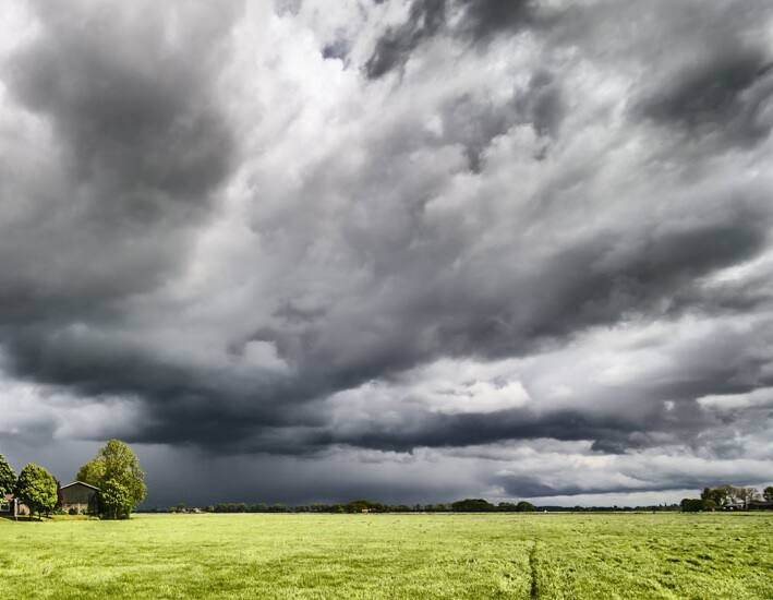 PMFBY : બદલાયેલા વાતાવરણથી ખેડૂતોની ભારે નુકસાનની ભિતિ, વળતર માટે કરો આ કામ PMFBY : Crop insurance Scheme provision of Compensation for Damage in Wheat Due to Rain Hailstorm PMFBY : બદલાયેલા વાતાવરણથી ખેડૂતોની ભારે નુકસાનની ભિતિ, વળતર માટે કરો આ કામ