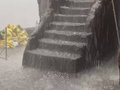 Photo : कृषीमंत्री अब्दुल सत्तार शेतकऱ्यांच्या बांधावर, पाहा फोटो