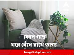 সাফল্যের শীর্ষে পৌঁছতে চান? রাশি মেনে বাড়ির সামনে লাগান এই গাছ