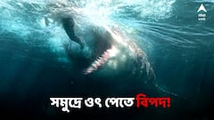 সমুদ্রে ঘাপটি মেরে বীভৎস এক প্রাণী! জলে পা দিতেই ঘটে গেল এক ভয়ঙ্কর ঘটনা