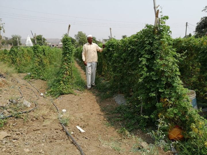 गोपाळ गजानन कदम यांनी खडकाळ माळरानावर डाळींब, सिताफळाच्या  फुलवल्या आहेत. तसेच कारले, कांदा, घेवडा अशा पिकांचे पिकांचीही त्यांनी यशस्वी शेती केली आहे.