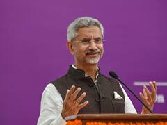 'आने दीजिए प्यार से समझा देंगे', अमेरिकी राजदूत के CAA पर स्टैंड को लेकर बोले जयशंकर