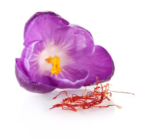 सेफ्रोन क्रोकस (Saffron crocus) : केसर के बारे में तो आपने जरूर सुना ही होगा. केसर को कई व्यंजनों में रंग और टेस्ट के लिए इस्तेमाल किया जाता है. केसर एक फूल से मिलता है और  इसके फूल का रंग बैंगनी होता है, जिसके पीले रंग के पराग होते हैं. केसर के लगभग 80 हजार फूलों से महज 500 ग्राम केसर मिलता है. केसर इतना कीमती है कि इसकी कीमत 3 लाख रुपये प्रति किलोग्राम तक हो सकती है.