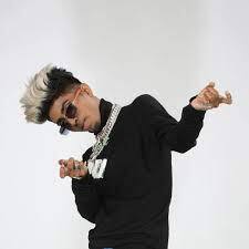 17 मार्चला एमसी स्टॅनच्या लाईव्ह कॉन्सर्टचे इंदूरमध्ये आयोजन करण्यात आले होते.