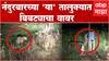 Nandurbar Leopard :  नंदुरबारच्या 'या' तालुक्यात बिबट्याचा वावर, पाणी शोधत आल्याचा अंदाज