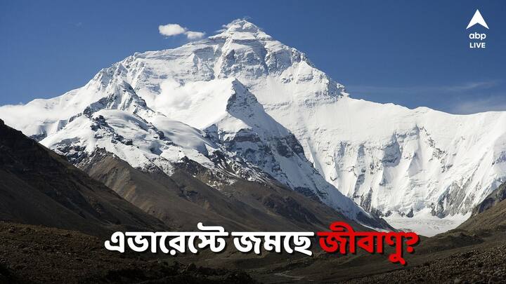 Everest Trek: বেশ কিছু ভাইরাস রয়েছে যা হিমাঙ্কের নীচেও নিজেদেরকে সুপ্ত অবস্থায় রেখে দিতে পারে