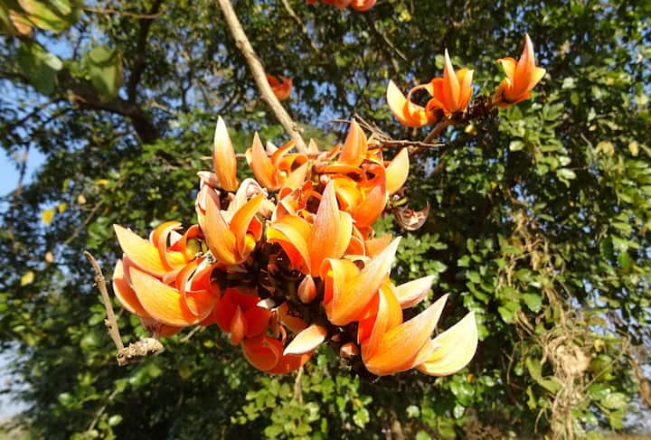 কলকাতায় মেঘলা আকাশ। বজ্রবিদ্যুৎ সহ দু এক পশলা বৃষ্টির সম্ভাবনা। সঙ্গে হালকা ঝোড়ো হাওয়া থাকতে পারে।