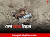 Murshidabad News: পঞ্চায়েত ভোটের আগে ফের সকেট বোমা উদ্ধার মুর্শিদাবাদে