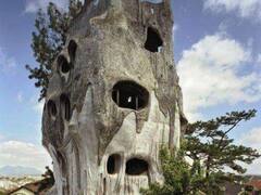 World Weirdest House: कहीं पत्थर खोदकर निकाले 100 कमरे, किसी ने कार्टून से प्रेरित हो कर बनाया घर, दुनिया के अजीबो-गरीब हाउस