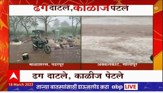 Pandharpur Unseasonal Rain : पंढरपूर आणि सोलापूरमध्ये अवकाळी पावसाची हजेरी