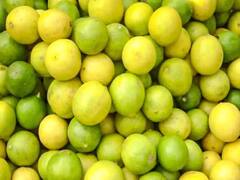 इस शहर में 80 रुपए किलो बिक रहा नींबू, ₹120 तक बढ़ सकते हैं दाम, जानें क्या है वजह