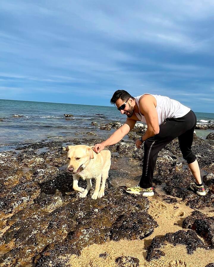 ऐसे में अपनी एक्स वाइफ दलजीत कौर को उनकी नई जिंदगी के लिए शालीन भनोट ने ढेर सारी शुभकामाएं भेजी हैं और साथ ही ये भी बताया है काम की वजह से वो उनकी शादी में शामिल नहीं हो पाएंगे.