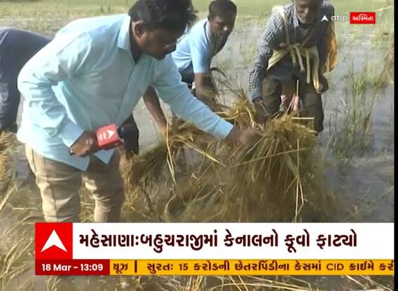 Mahesana:બહુચરાજીમાં નર્મદા કેનાલનો કૂવો ફાટતા ખેડૂતોનો પાક થયો બરબાદ