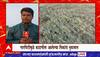Hingoli Heavy Rain : हिंगोलीत गारपिटीमुळे काढणीस आलेल्या पिकांचं नुकसान
