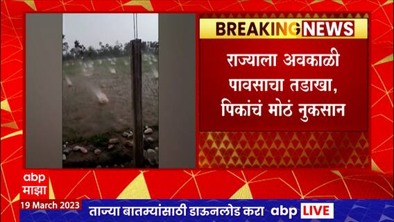 Maharashtra Rain : राज्याला अवकाळी पावसाचा मोठा तडाखा, शेतीपिकांचं प्रचंड नुकसान; बळीराजा हवालदिल