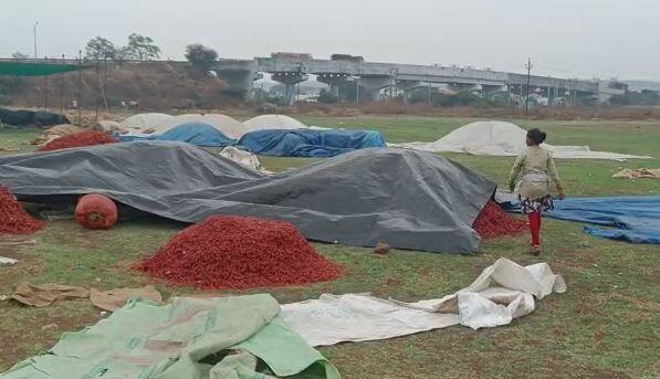 राज्याच्या विविध भागात अवकाळी पावसानं हजेरी लावली आहे. या पावसामुळं शेती पिकांना मोठा फटका बसला आहे.