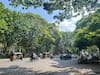 Pune News : पुण्यात ऊन-सावल्यांचा खेळ; पाहा फोटो...