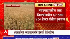 Marathwada Rain Crop Loss : मराठवाड्यातील आठ जिल्ह्यांमध्ये 62 हजार 480 हेक्टर शेतीचं नुकसान