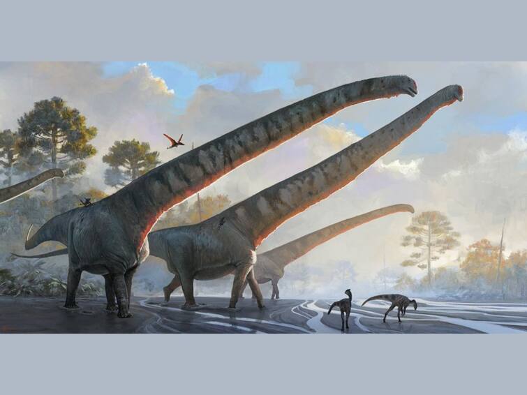 This Dinosaur’s Neck Was Longer Than A City Bus, New Calculations Show