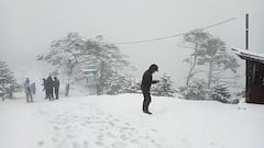 Sandakphu Snowfall: বসন্তে বরফঢাকা সান্দাকফু! বৃষ্টিভেজা হাওয়া কনকনে পাহাড়
