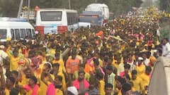 श्रीक्षेत्र आदमापुरात भंडाऱ्याची मुक्त उधळण; 'बाळूमामाच्या नावानं चांगभलं'च्या जयघोषात बाळूमामांचा रथोत्सव सोहळा उत्साहात