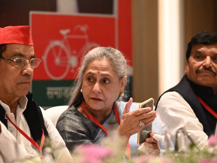 हालांकि सपा के राष्ट्रीय महासचिव स्वामी प्रसाद मौर्य मंच पर नहीं दिखे. इसकी चर्चा सबसे ज्यादा हुई और इस वजह से तस्वीर भी चर्चा में रही.