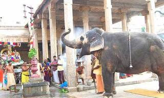 நேற்று கொடியேற்றம்.. 23-ந்தேதி தேரோட்டம்.. தொடங்கியது ஜம்புகேஸ்வரர் கோயில் பங்குனி திருவிழா.!