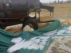 मध्य प्रदेश के कई इलाकों में बारिश के साथ गिरे ओले, किसानों की फसल हुई बर्बाद