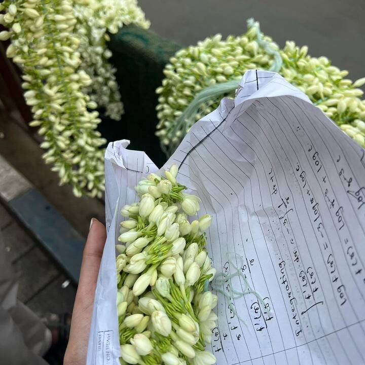 तसेच सायलीनं गजऱ्याचा देखील फोटो शेअर केला आहे.
