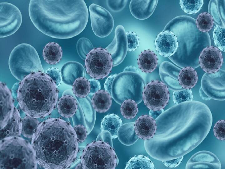 Science News Why Viral Infections Less Severe In Females Than In Males know complete details Viral Infections: ஏன் ஆண்களை விட பெண்கள் மத்தியில் வைரஸ் தொற்றுகளின் தாக்கம் குறைவு? ஆய்வில் வெளியான தகவல்..!