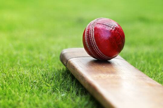 Cricket News: Player died while playing cricket, 8 died during the game in last one and a half month