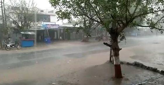 Amreli: Heavy rains in Savarkundla Damage farmers crops Amreli: સાવરકુંડલા તાલુકાના ગ્રામ્ય વિસ્તારોમાં પવન સાથે વરસાદ, ખેડૂતોનો પાક બરબાદ થઈ ગયો