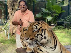Sellur Raju: 'தலைவருக்கு தில்லை பாத்தீங்களா...' புலி வாலை பிடித்த செல்லூர் ராஜூ - இணையத்தில் வைரல்...!