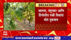 Maharashtra Rain Loss : राज्याला अवकाळी पावसाचा तडाखा, पिकांचं मोठं नुकसान